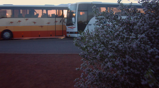 DSCN8727 Aussie Tour Busses Pull up for Sunset over the Rock