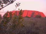 DSCN8749 Uluru Sunset