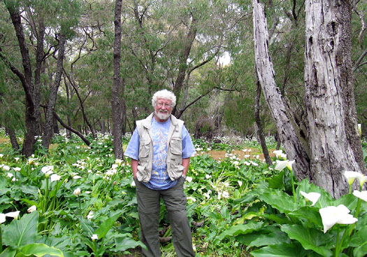DSCN8936 Gunter in Field of White Lilies the Aussies Call a~1