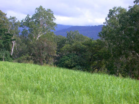 002 Queensland Countryside