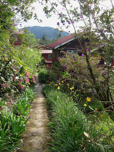 Mountain Lodge, Kotu Kinabalu