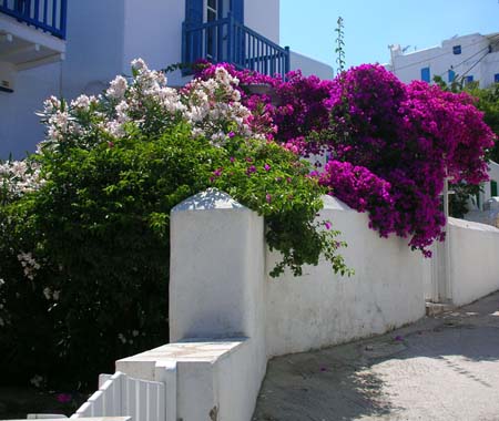 09 Pretty as a Postcard.  Mykonos