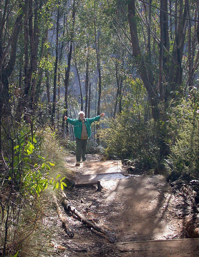 DSCN3772 Gunter hiking in the Blue Mountains