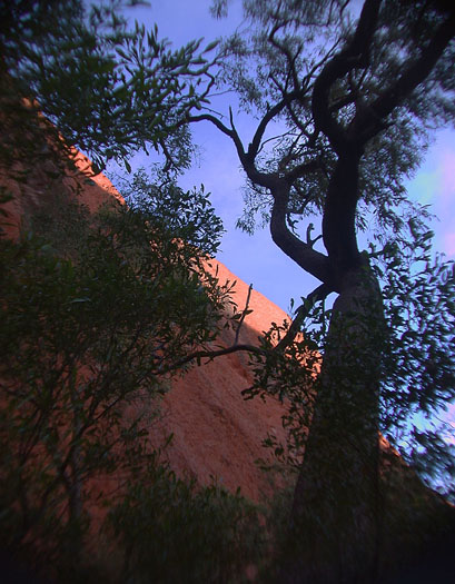 DSCN8658 Tree Silhouetted against Rock
