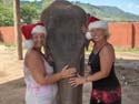 HPIM3195 Sisters with Santa hats & elephant