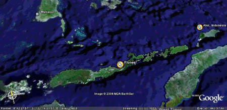 1 Flores, Indonesia map