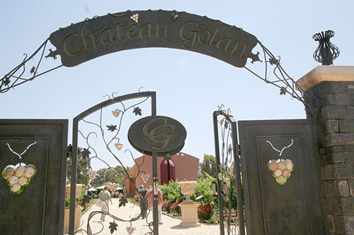 37 Israel's Golan Heights.  Vineyard Chateu Golan.jpg