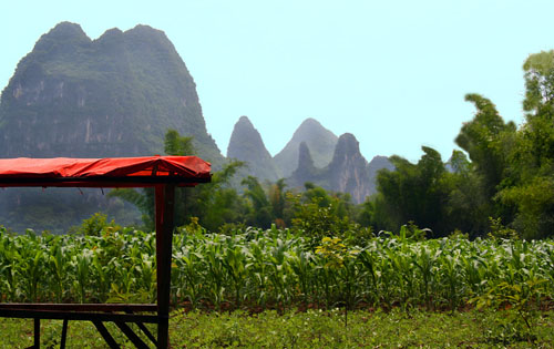 Corn and shed against mountains near Yangshuo