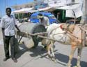 06 Water vendor, Port Sudan