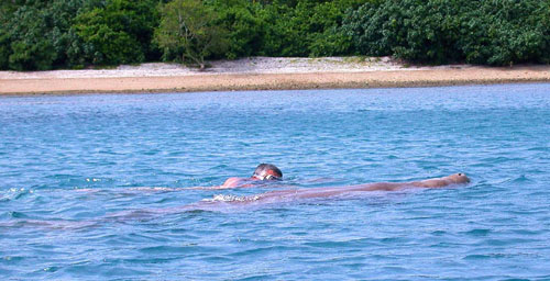 DSCN6505 Rolf Swims with Dugong in Lamon Bay