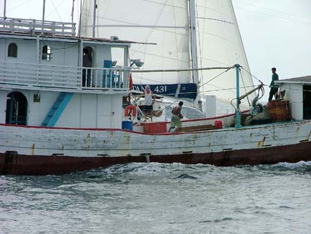 11 Fishing Boat as seen from Simpatica