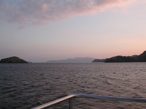 DSCN2597