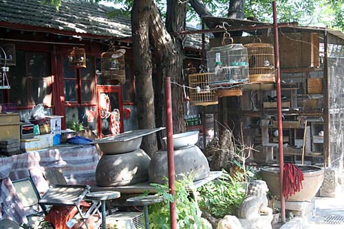 19 Hutong courtyard