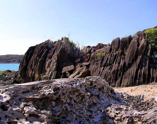 Driftwood and Volcanic Rock, Cape York