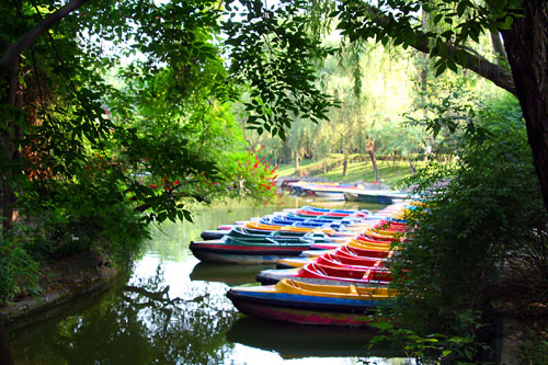03 Canoes for rent on the lake in Chengdu