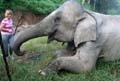 IMG_5863 Dianne feeding elephant