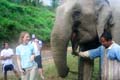 IMG_5877 Catherine gets ready to feed elephant