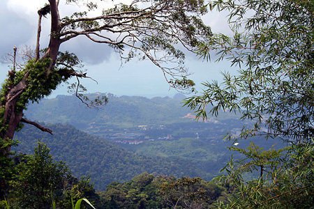 View from Gunung Raya