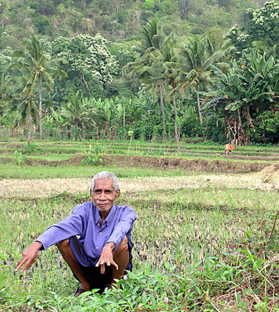 12 Indonesian Farmer