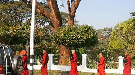 09-Monks-on-morning-alms-rou