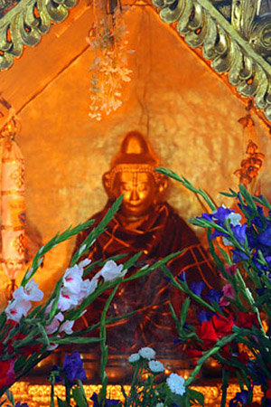 15-The-brightness-is-awesom