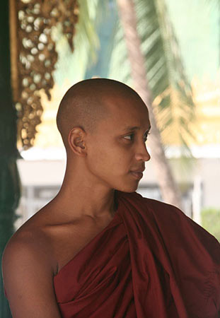 19-A-young-novice-monk