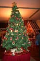04-Tree-and-Gingerbread-Hous