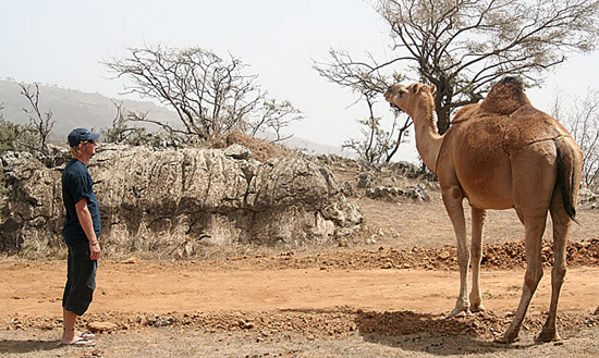 04 Chris attempts to establishes rapport