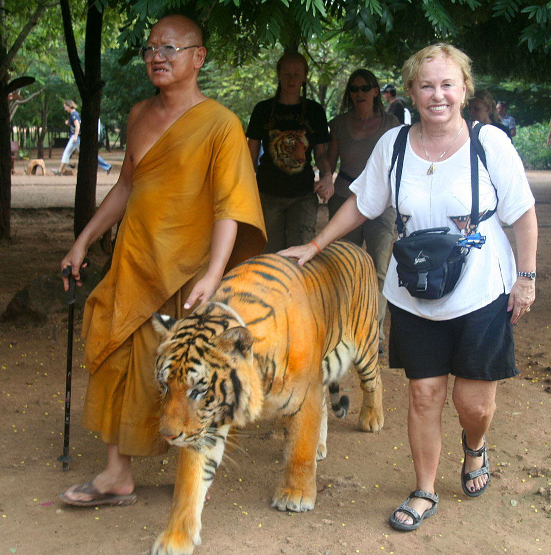 3 Walking tigers back