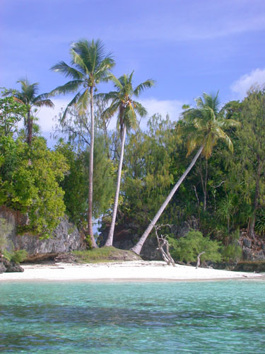 Four Palm Island