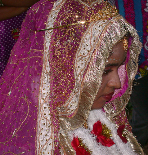 DSCN2063SidePortraitofBride