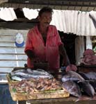 DSCN9934 Selling Fish along Galle Road